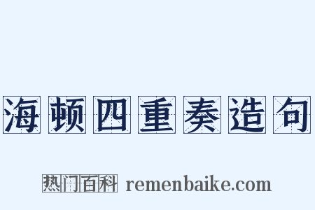 海顿四重奏造句是什么意思的图片